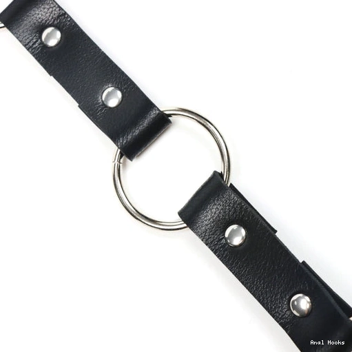Anal Hooks Collar with Anal Leash EverydayUse and 5853 Hook Kinky 0817